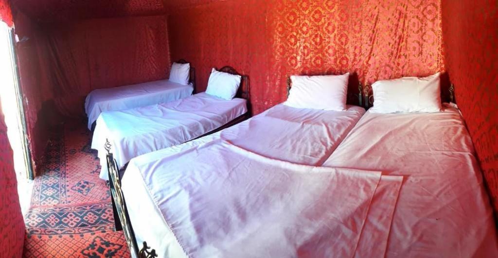 姆哈米德 Erg Chegaga Camp Excursions酒店 外观 照片